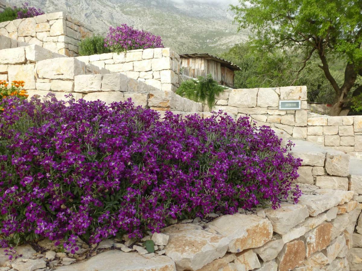 Kuca Za Odmor Viola Vila Živogošće Exterior foto
